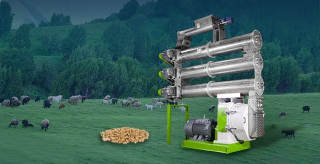 Choosing the Right Poultry Feed Pellet Mill Manufacturer: A Guide for  Poultry Farmers - Poultry Feed Pellet Machine