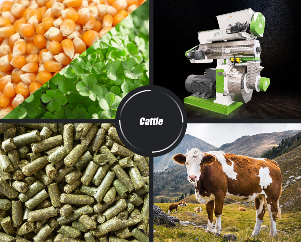 cattle feed pellet machine