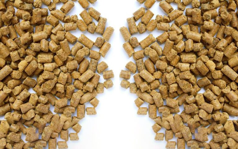 animal feed pellets