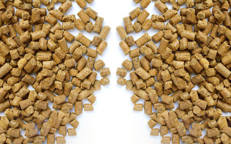 animal feed pellets