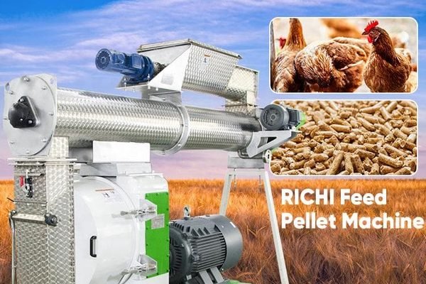 chicken feed pellet machine