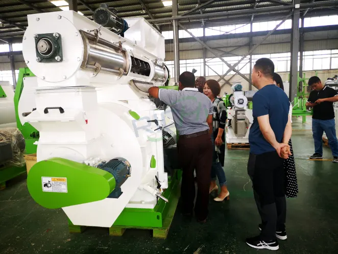 Zimbabwe organic fertilizer and animal feed pellet production line with chicken manure pellet machine